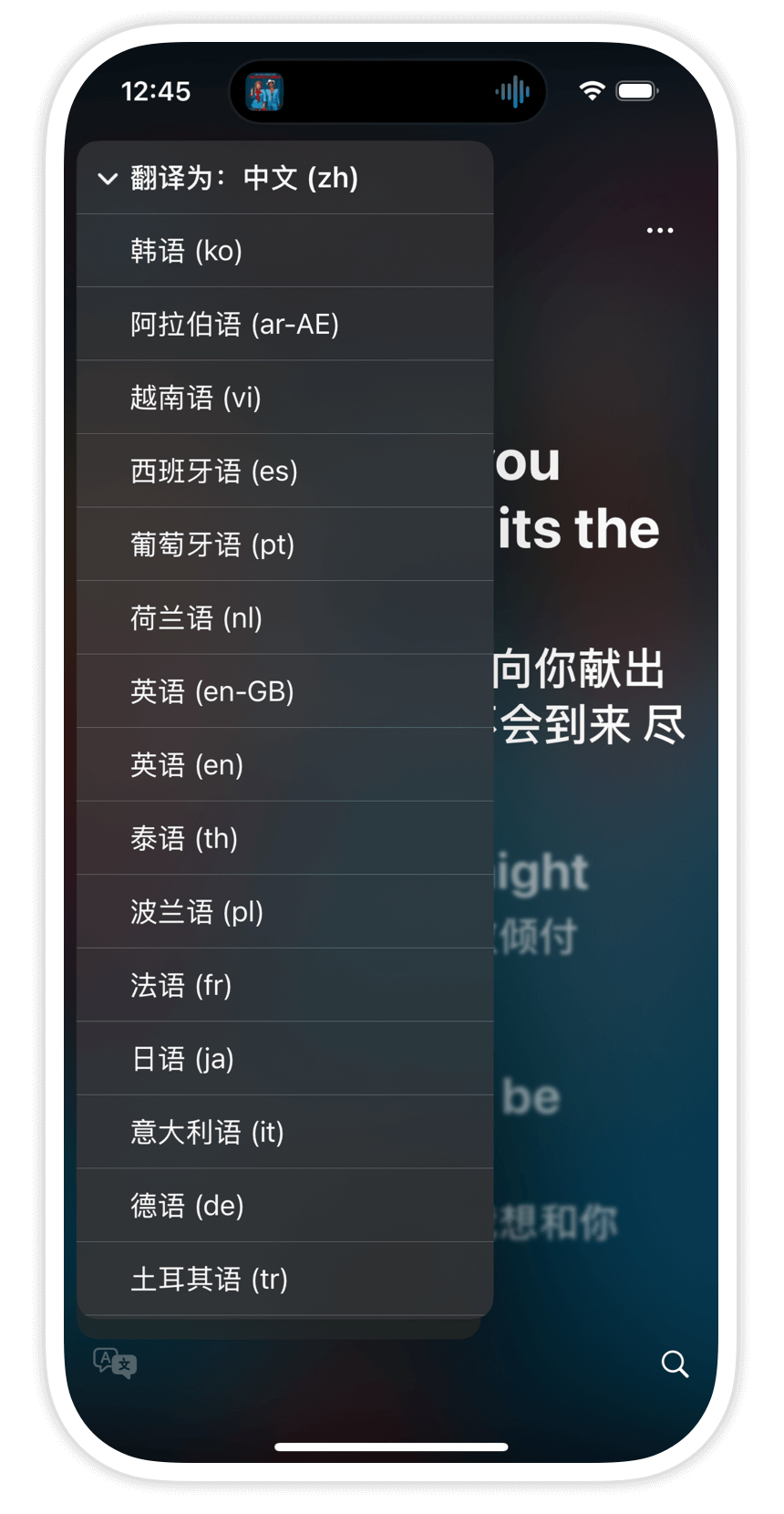 Lyrics Translation
